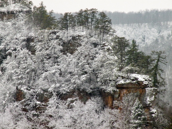 Snow on the Rough Trail